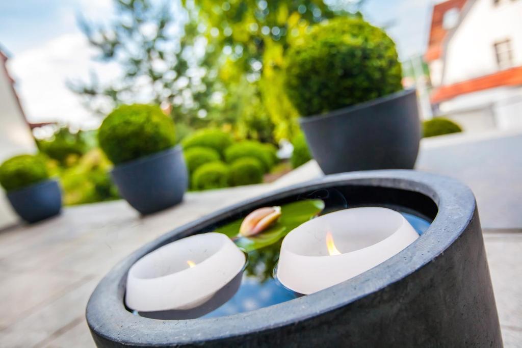 Boutique-Hotel Villa Anna Айзенах Екстериор снимка
