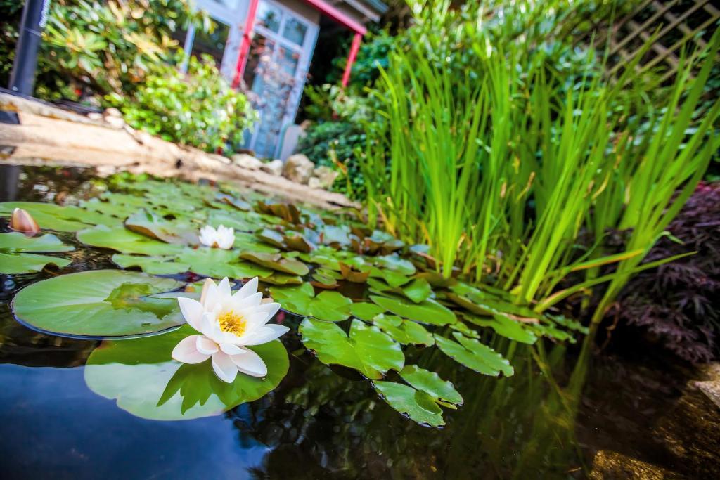 Boutique-Hotel Villa Anna Айзенах Екстериор снимка